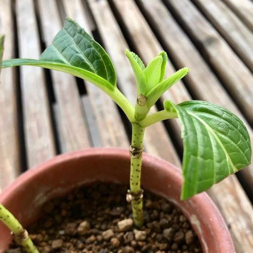 D3pbyuzcd27kd Cloudfront Net Wp Content Uploads