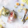 ハーバリウムの作り方｜100均で材料はそろう？おしゃれにつくるコツは？の画像