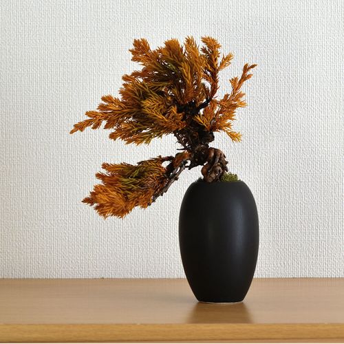 母の日は紫陽花 ドライ盆栽がおすすめ 返信用ポストカード付きギフト特集 Greensnap グリーンスナップ