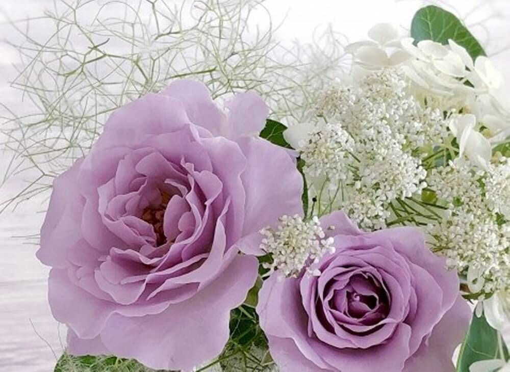 ホワイトレースフラワー