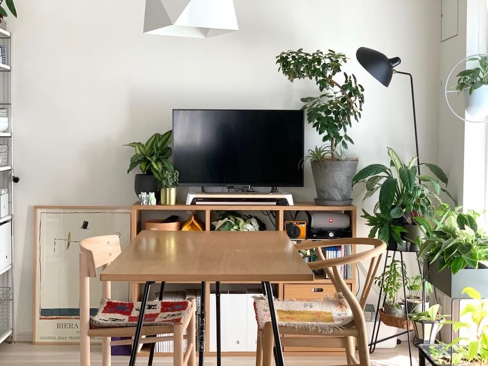 写真：観葉植物があるインテリアコーディネート　リビング