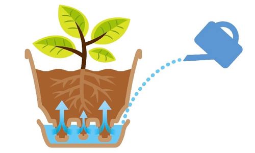 もう水やりで失敗しない リッチェルの底面給水プランターが便利 Greensnap グリーンスナップ