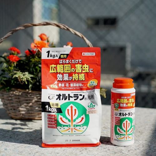 害虫防除は オルトラン粒剤 におまかせ 超ロングセラーの人気の理由に迫ります Greensnap グリーンスナップ