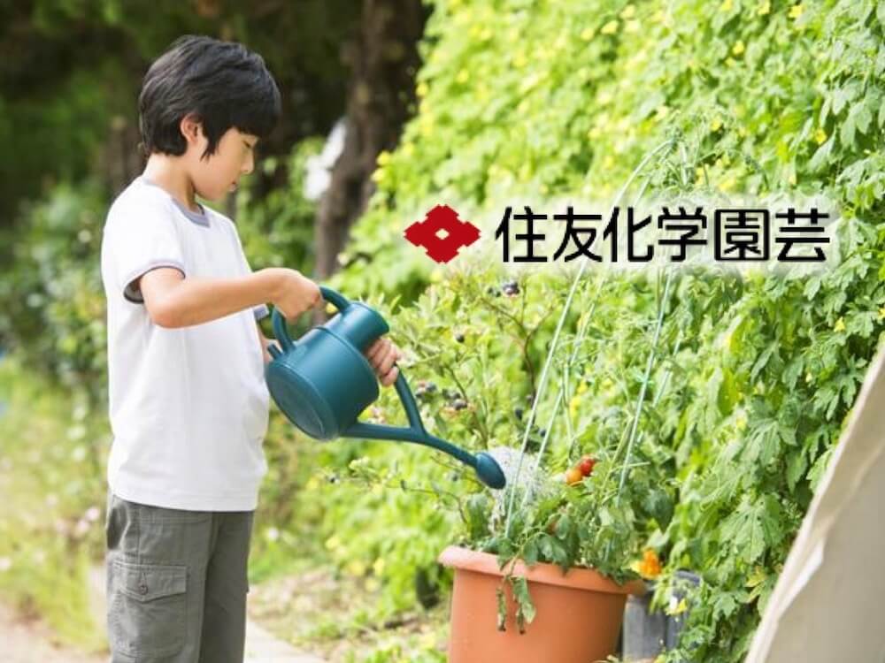 あなたの小学校に肥料セットが届くかも 学校花壇 菜園応援プロジェクト21 Greensnap グリーンスナップ