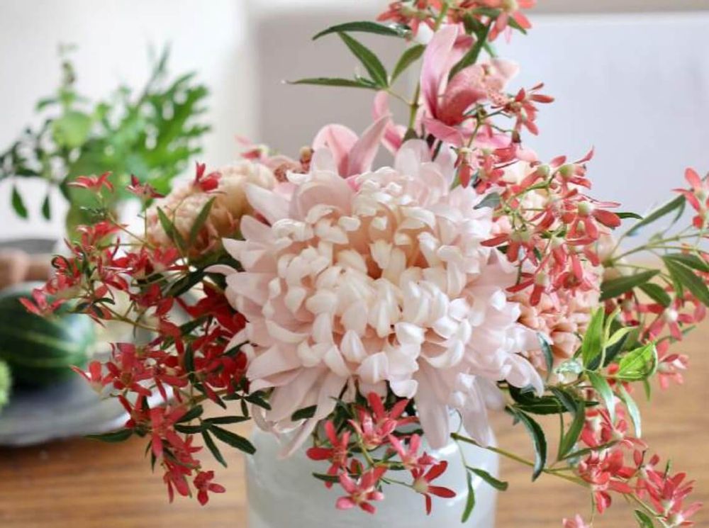 クリスマスブッシュ