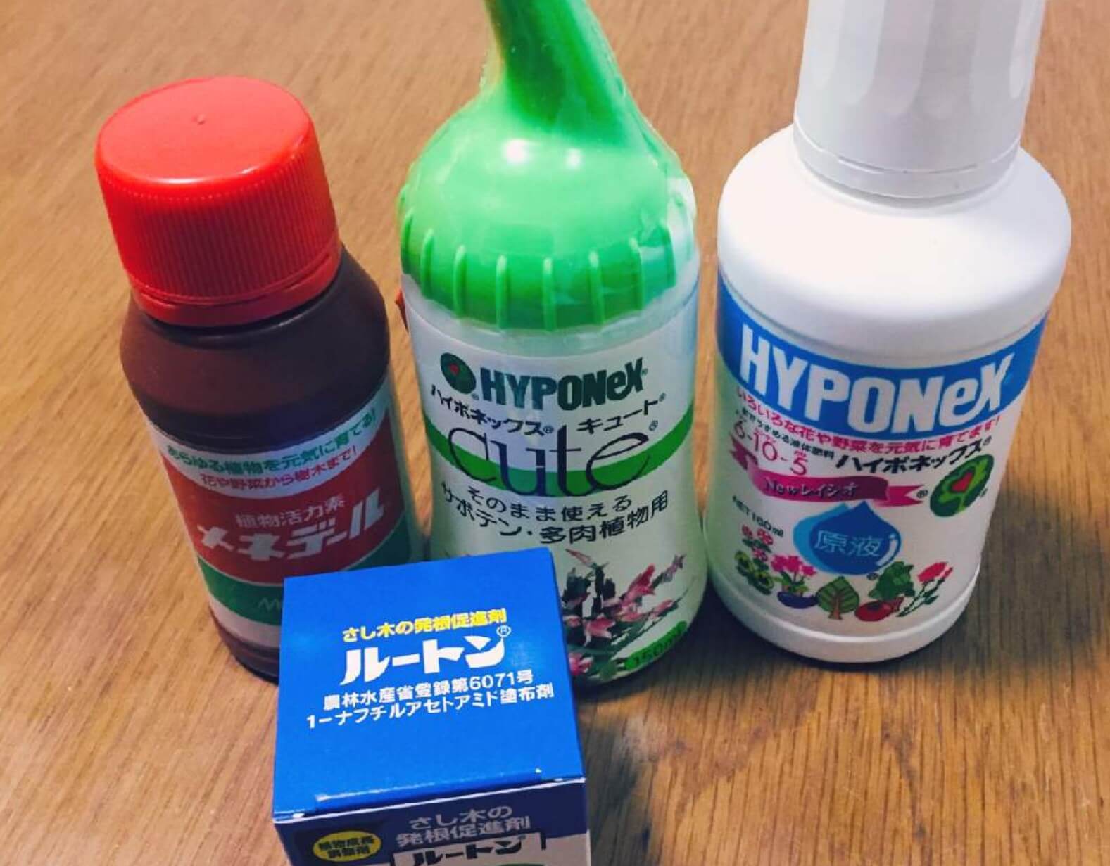 発根促進剤とは｜種類や使い方、効果は？100均材料で自作できる？｜🍀GreenSnap（グリーンスナップ）