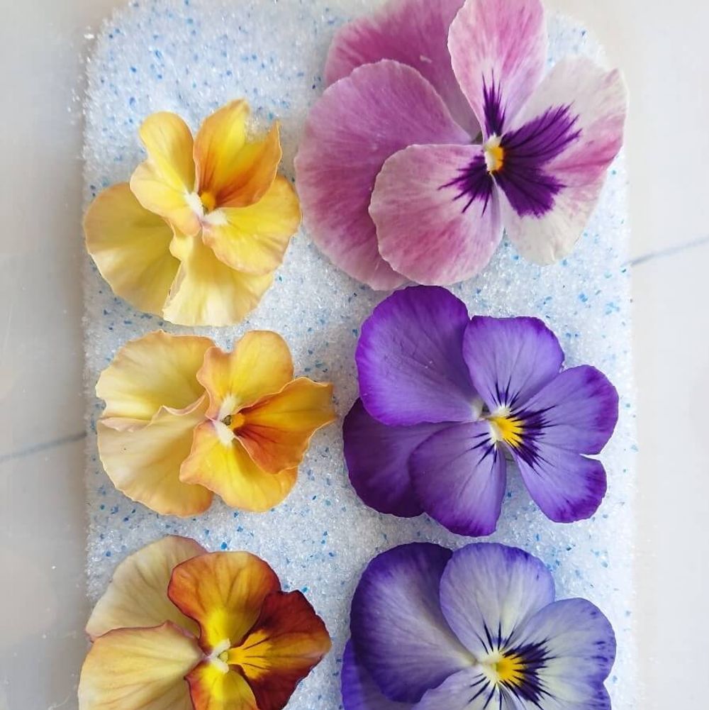 シリカゲルを使ったドライフラワー