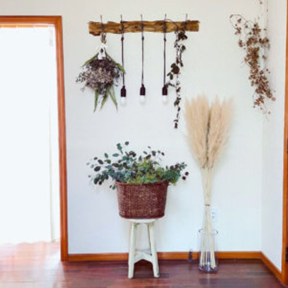 パンパスグラス