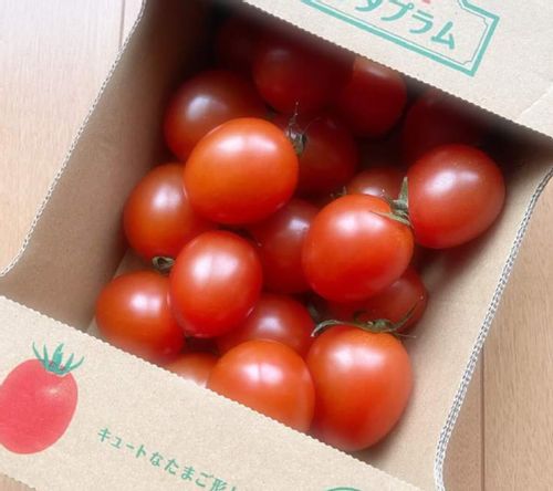 トマトの栽培では葉っぱをとった方が美味しくなる 葉かきの方法と効果とは Greensnap グリーンスナップ