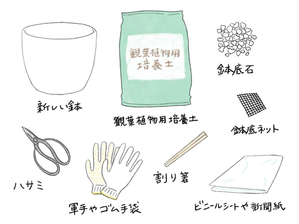 イラスト：観葉植物の植え替え　必要な道具