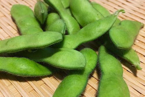 枝豆の種類 品種一覧 おいしいのはどれ 茶豆や白毛豆とは Greensnap グリーンスナップ