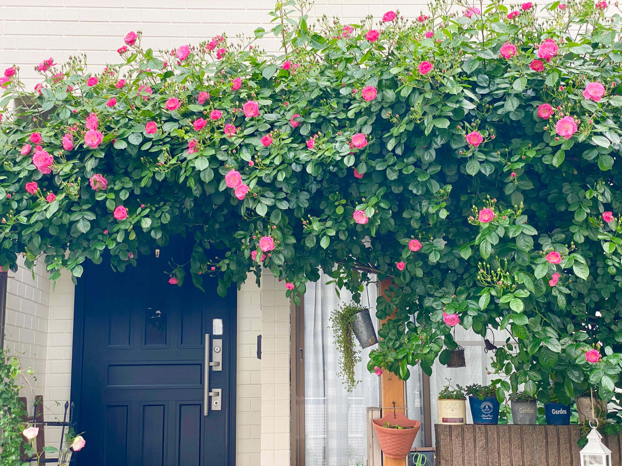 玄関をお花でおしゃれに見せるコツは ガーデニングテクニック特集 Greensnap グリーンスナップ