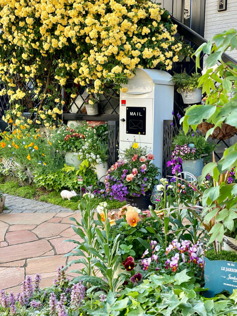 玄関　ガーデニング