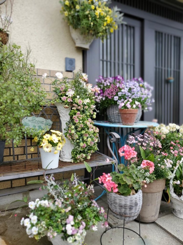 玄関　ガーデニング