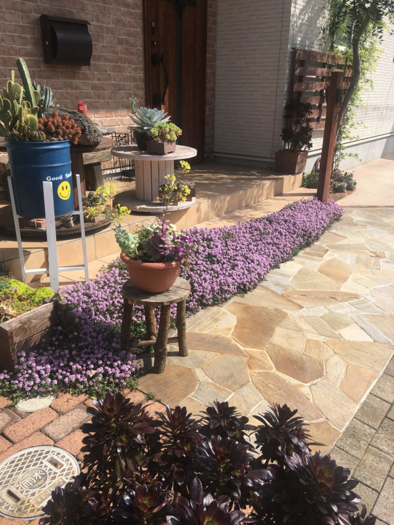 玄関　ガーデニング