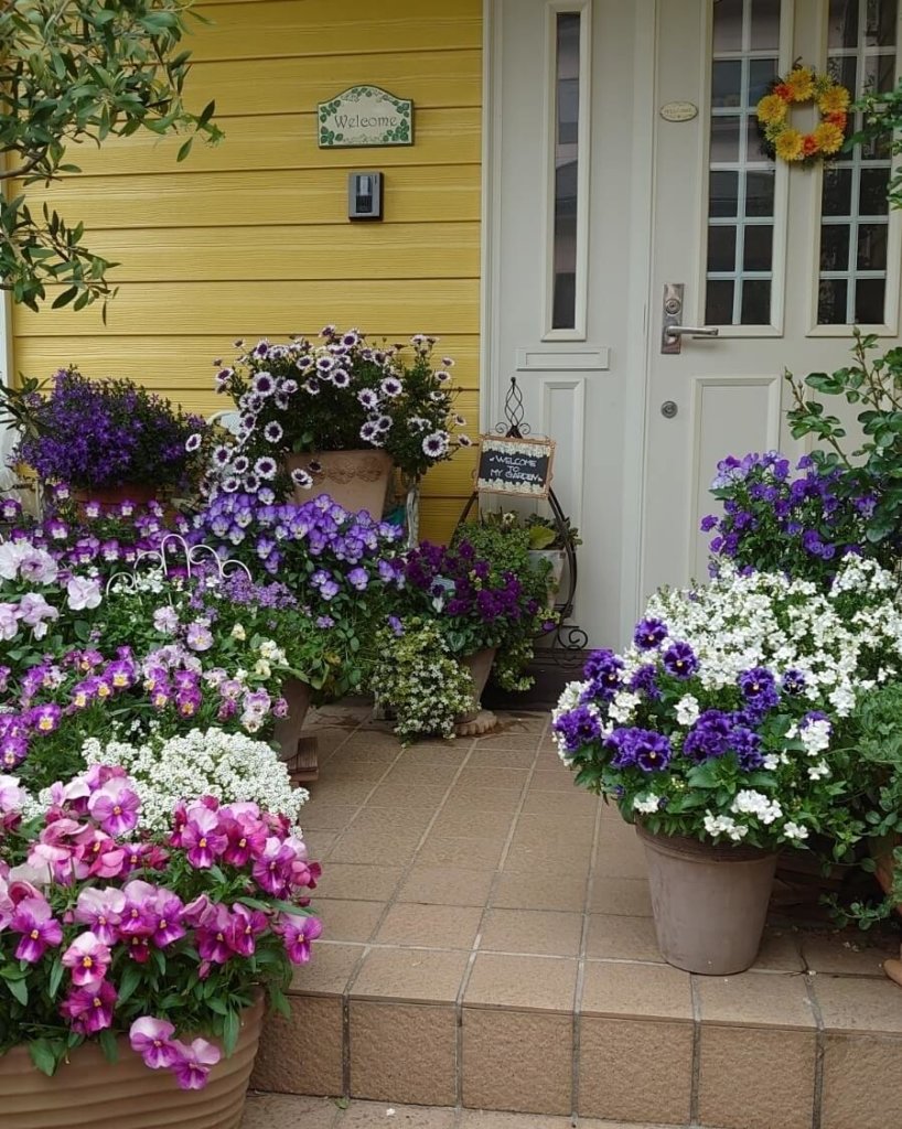 玄関　ガーデニング