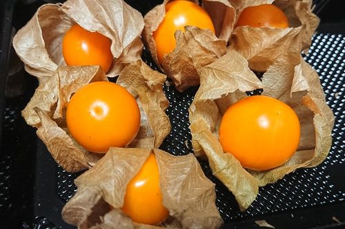 食用ほおずきの栽培 育て方や収穫のコツは 食べ方や味 効能は Greensnap グリーンスナップ 食用ほおずきの栽培 育て方や収穫のコツは 食べ方や味 効能は Greensnap グリーンスナップ
