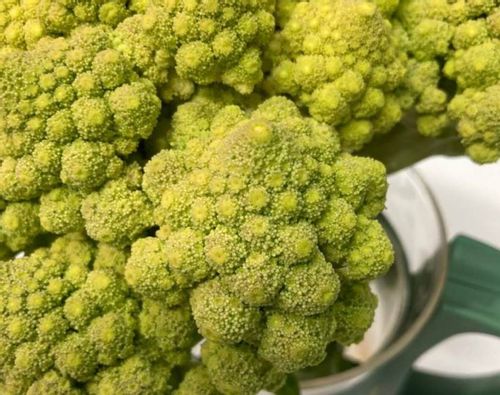 ロマネスコとは どんな野菜 味やカリフラワーとの違いは Greensnap グリーンスナップ ロマネスコとは どんな野菜 味やカリフラワーとの違いは Greensnap グリーンスナップ