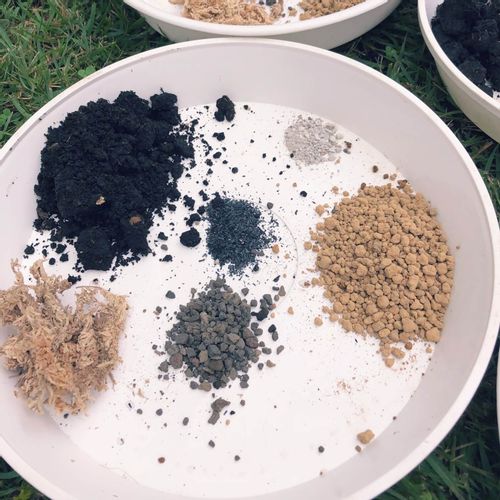 苔玉の作り方 手順や必要なもの おすすめの植物は Greensnap グリーンスナップ