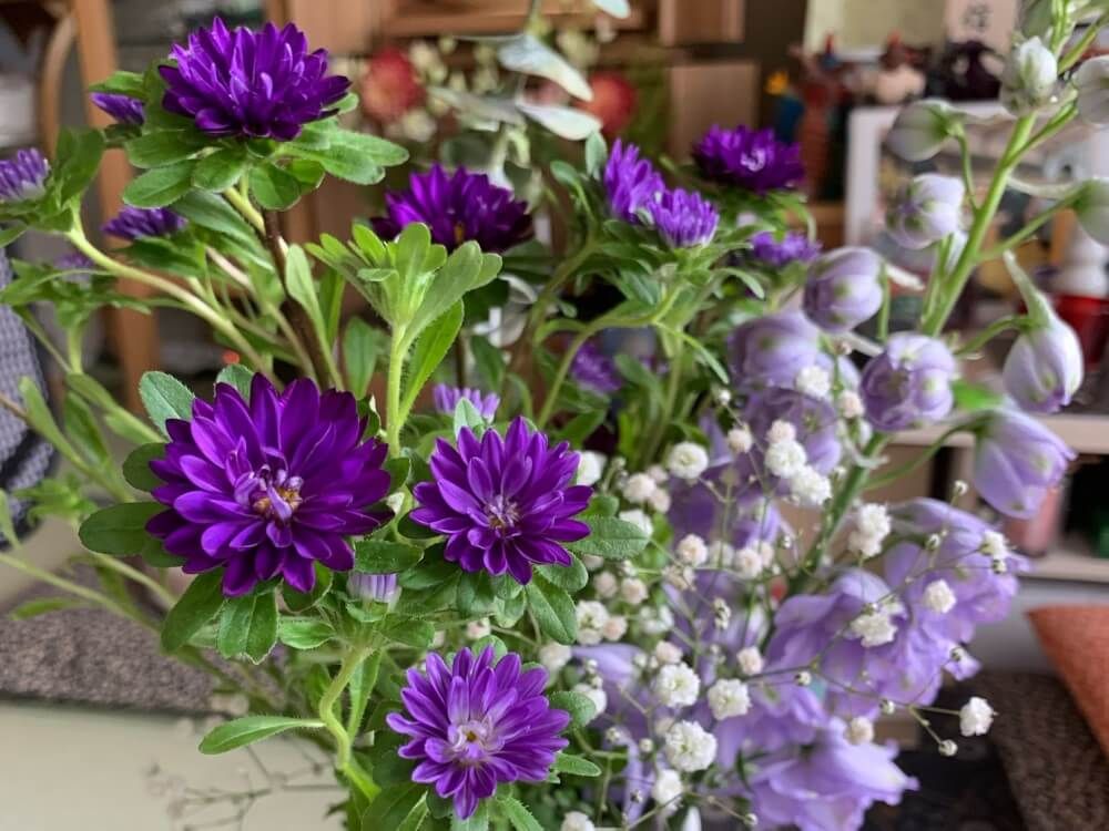 仏花　紫色の花