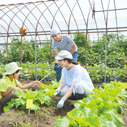 ここちいい菜園ライフを 畑サイクルとhataのアイテムで家庭菜園を楽しもう Greensnap グリーンスナップ