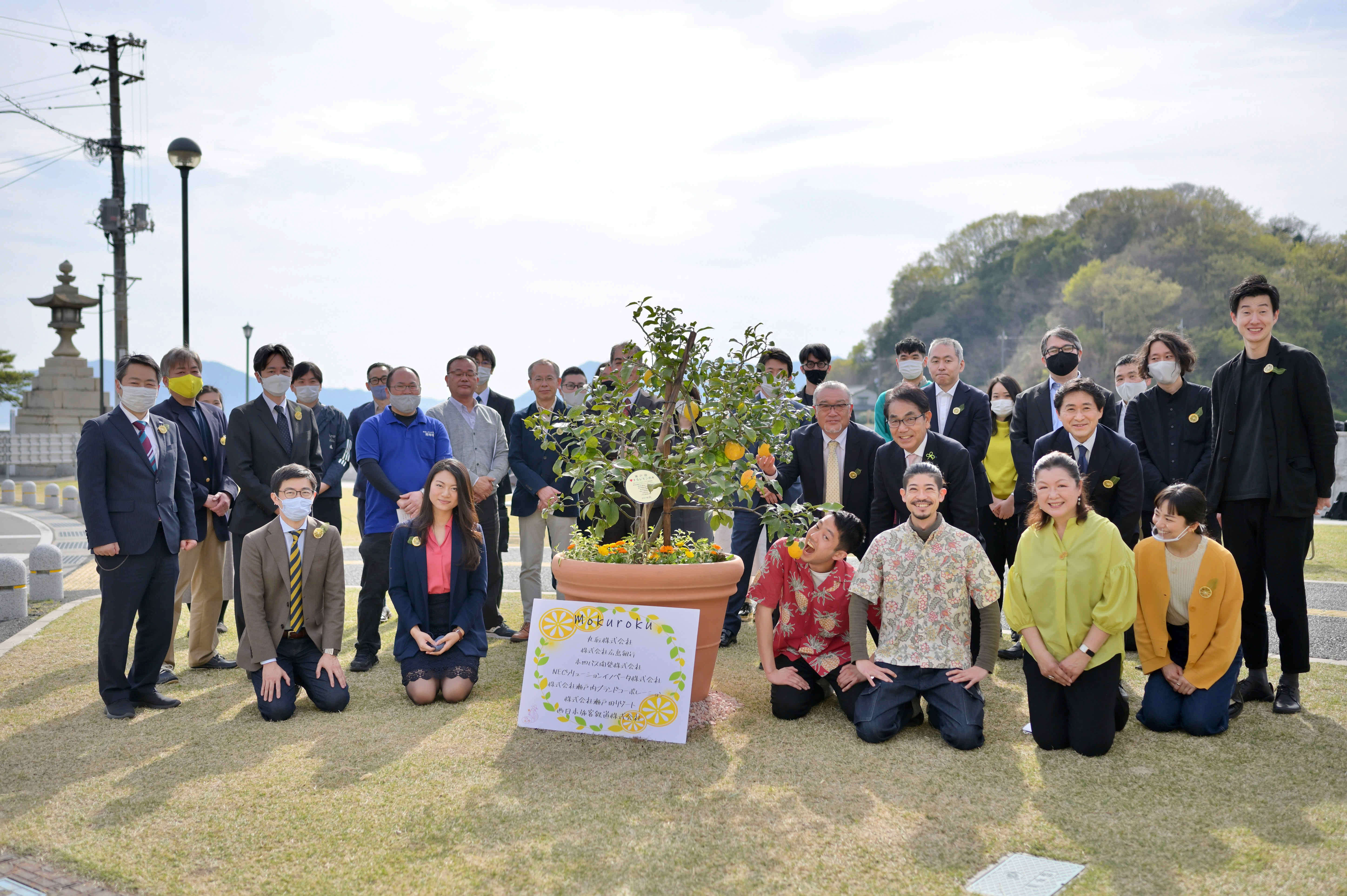 レモンの花が咲いてから実がなるまで No 4 はじめて檸檬 Greensnap グリーンスナップ