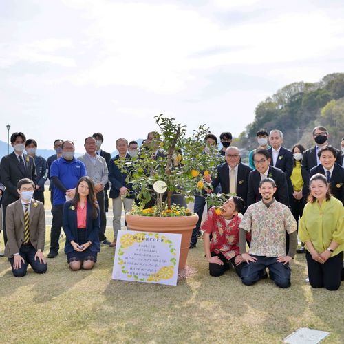 レモンの花が咲いてから実がなるまで No 4 はじめて檸檬 Greensnap グリーンスナップ