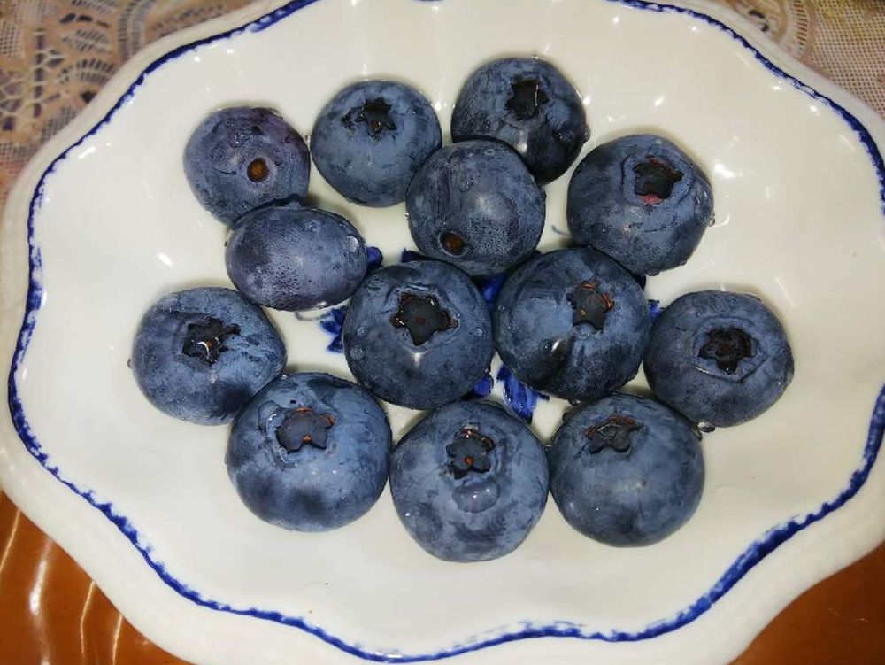 ブルーベリー