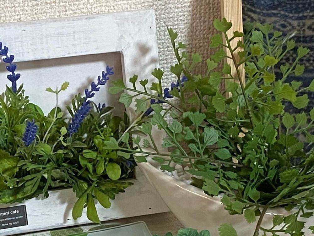 フェイクグリーン