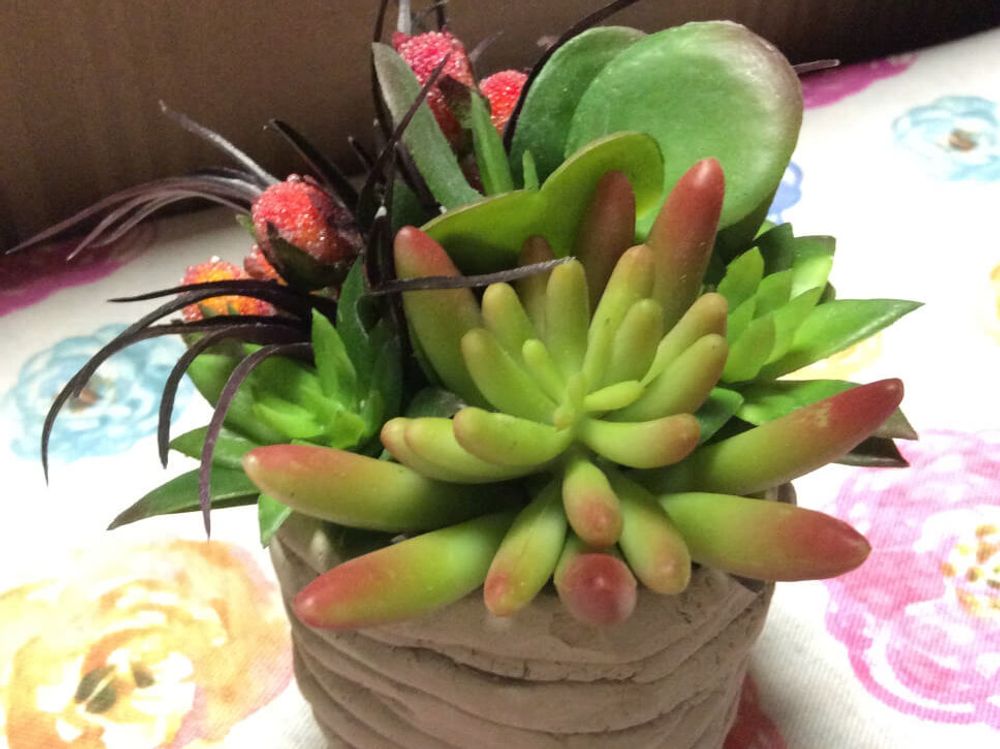 フェイクグリーン