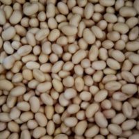 大豆の栄養｜効果・効能や保存方法、旬の時期や選び方は？の画像