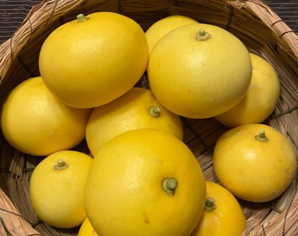 グレープフルーツ