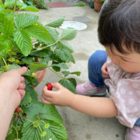 [GreenSnap For KIDS Project] 親子で楽しむ園芸フォトコンテスト！前編の画像