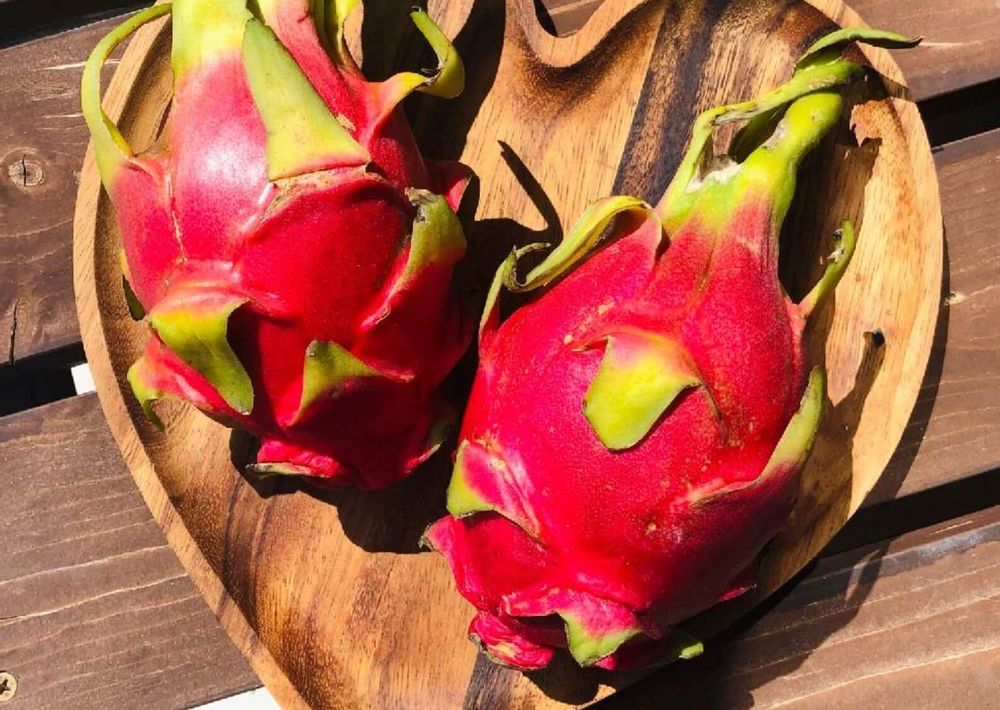 ドラゴンフルーツ