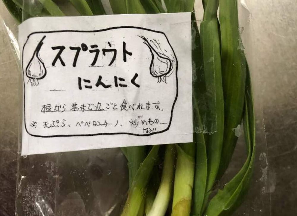 にんにくスプラウト