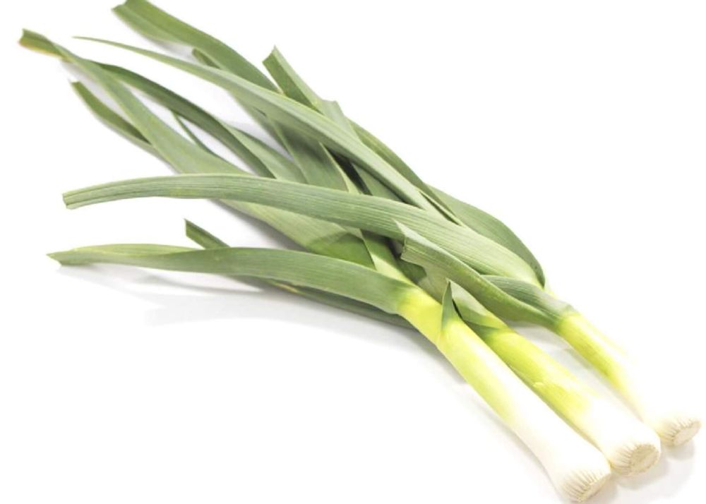 にんにくスプラウト