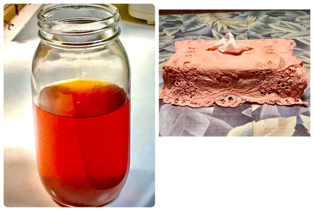 アカネの根から抽出した染色と茜染めの画像