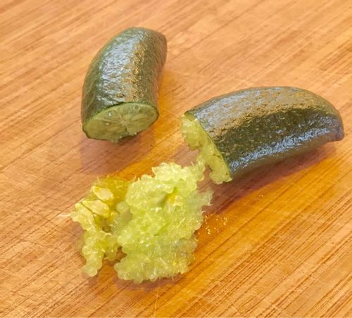 フィンガーライムの育て方 苗の栽培方法や 販売されている場所はどこ Greensnap グリーンスナップ