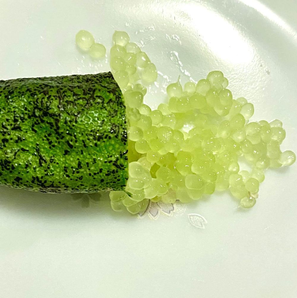 クリスタルフィンガーライムの果実の画像