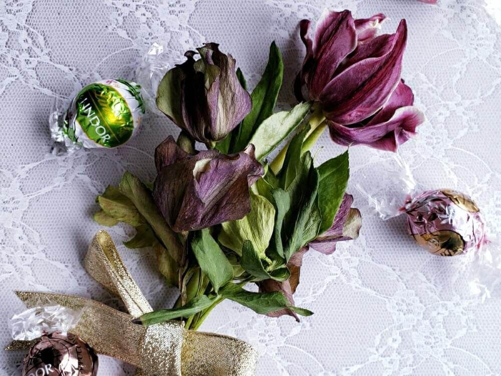 クリスマスローズ　ドライフラワー