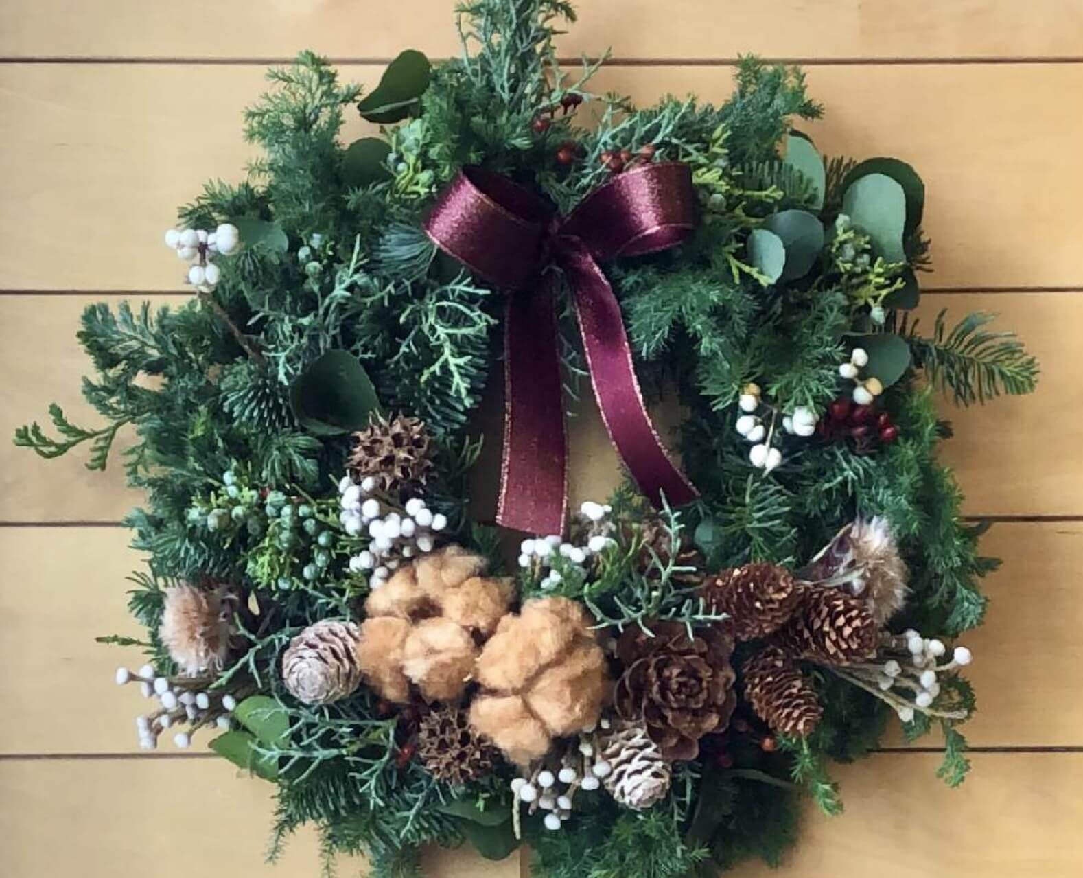 モミの木とは｜育て方や花言葉、クリスマスツリーになった由来は