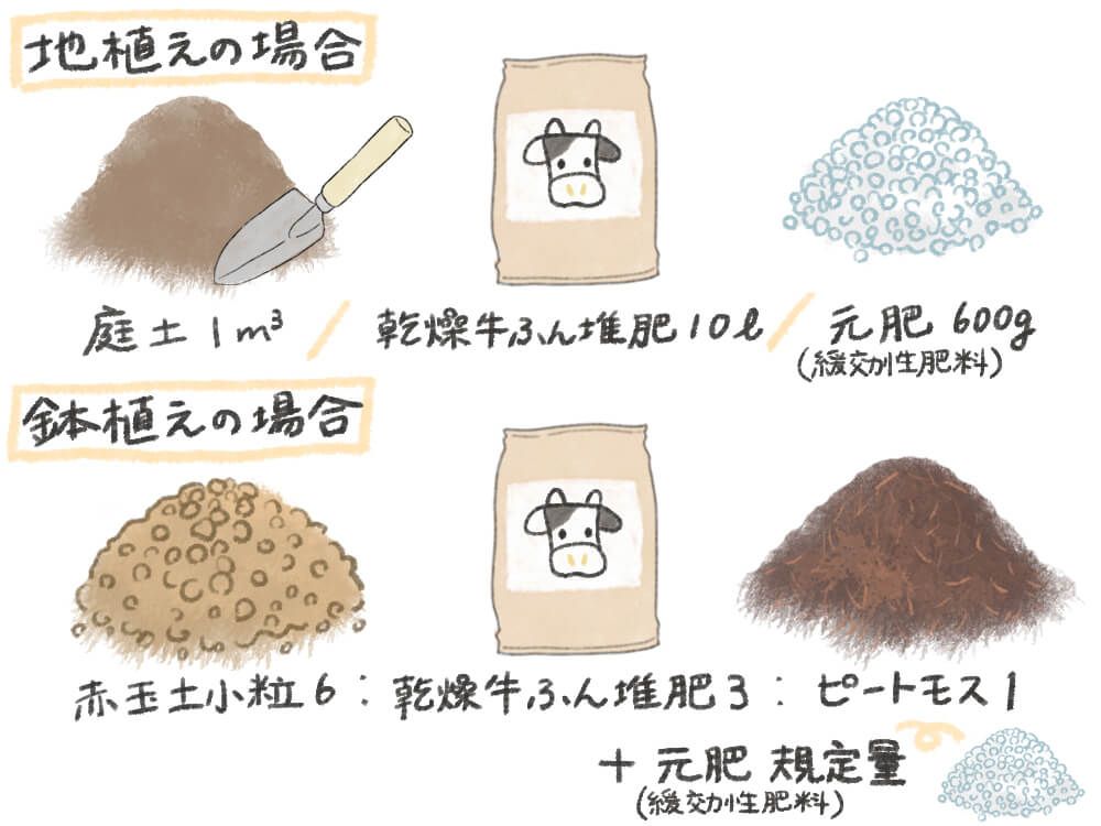 イラスト：バラ(薔薇)の栽培に適した土づくり