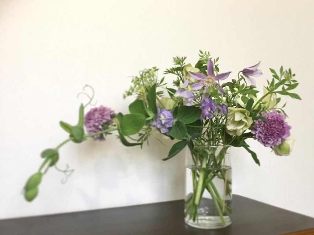 バラ・エクレール　切り花