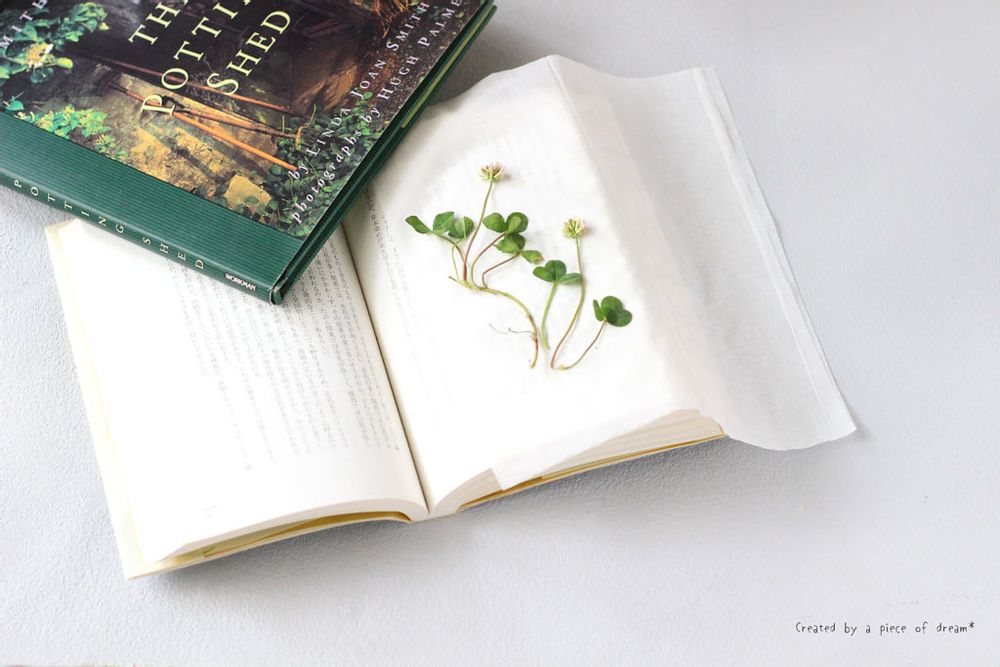 押し花 本に挟む作り方
