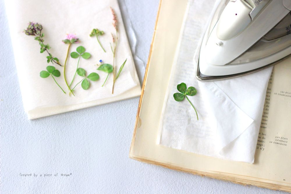 押し花 アイロンを使う方法