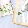 押し花の作り方は本に挟むだけじゃない？簡単にできる3つのやり方の画像