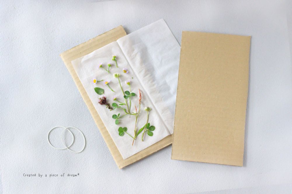 押し花 電子レンジを使う方法