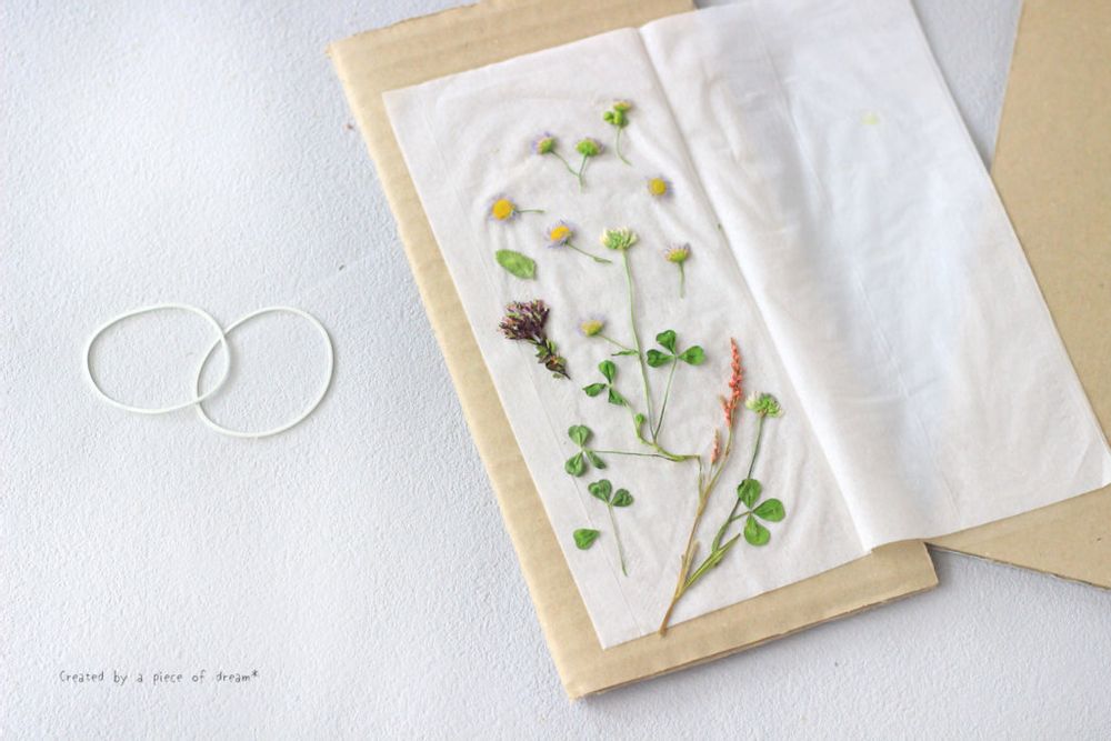 電子レンジで作った押し花