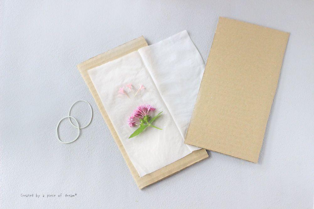 押し花にする前のピンクの花