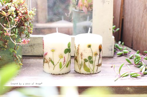 押し花の作り方 簡単 短時間でできるアイロンや電子レンジを使ったやり方とは Greensnap グリーンスナップ